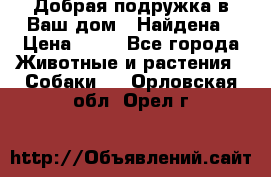 Добрая подружка,в Ваш дом!!!Найдена › Цена ­ 10 - Все города Животные и растения » Собаки   . Орловская обл.,Орел г.